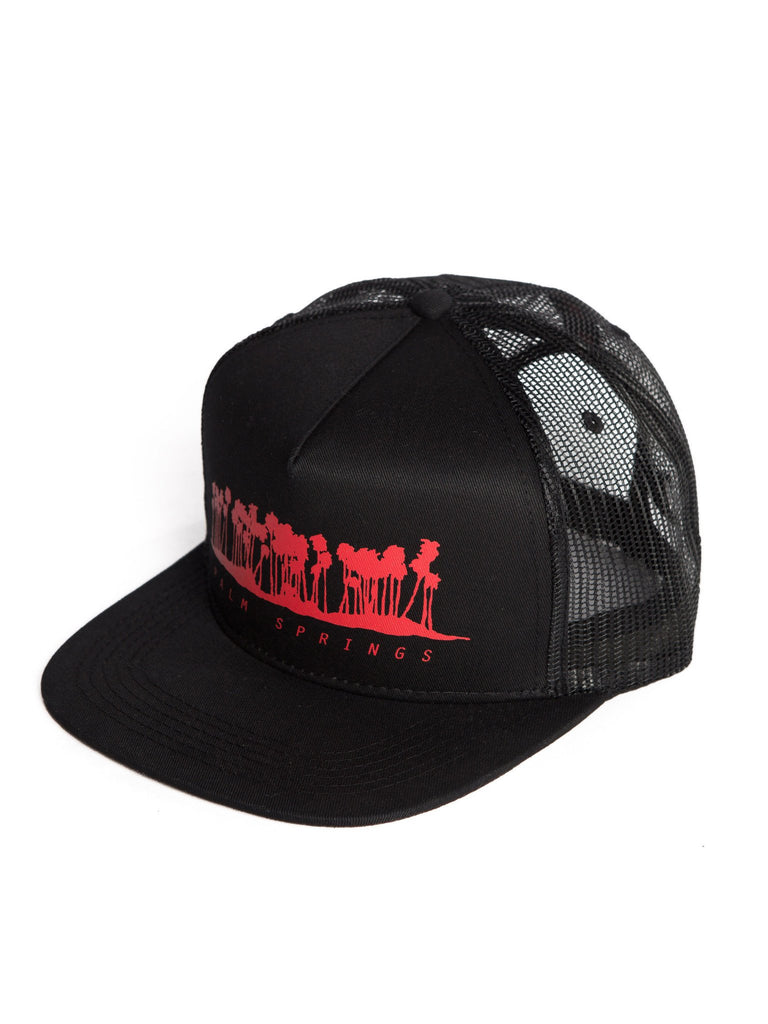 RTAPALMSPRINGSTRUCKERHAT
